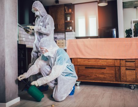 Specialists in protective suits do disinfection or pest control Specialists in protective suits do disinfection or pest control in the apartment.